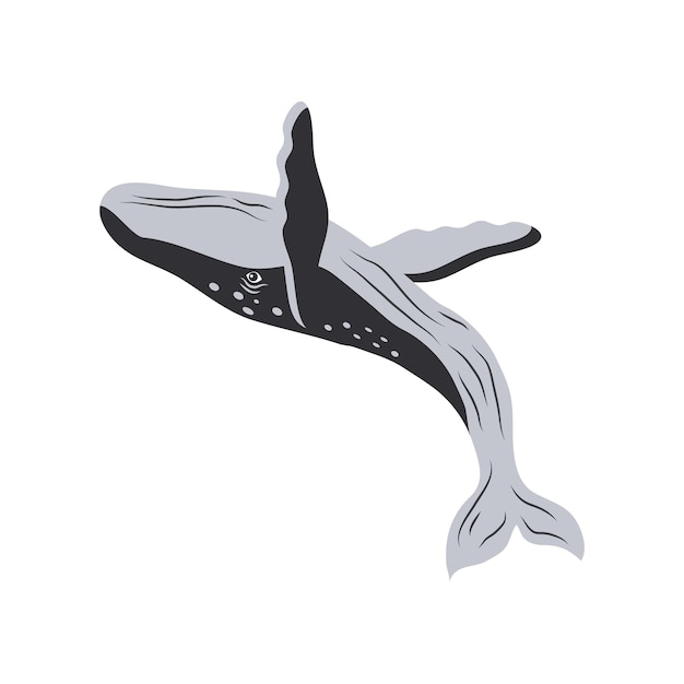 Vector gratuito diseño de icono aislado de humpback sealife