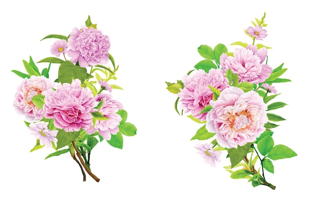 Vector gratuito diseño de ilustraciones de coronas florales de peonías