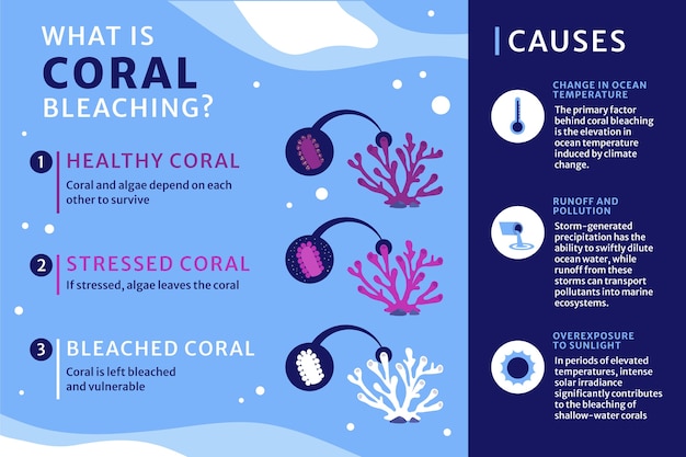 Vector gratuito diseño de infografía de blanqueo de coral