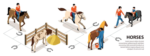 Vector gratuito diseño de infografías de caballos