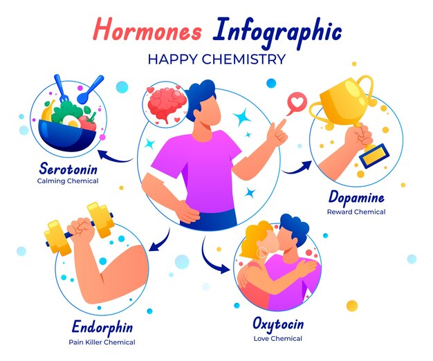Diseño de infografías de hormonas de gradiente