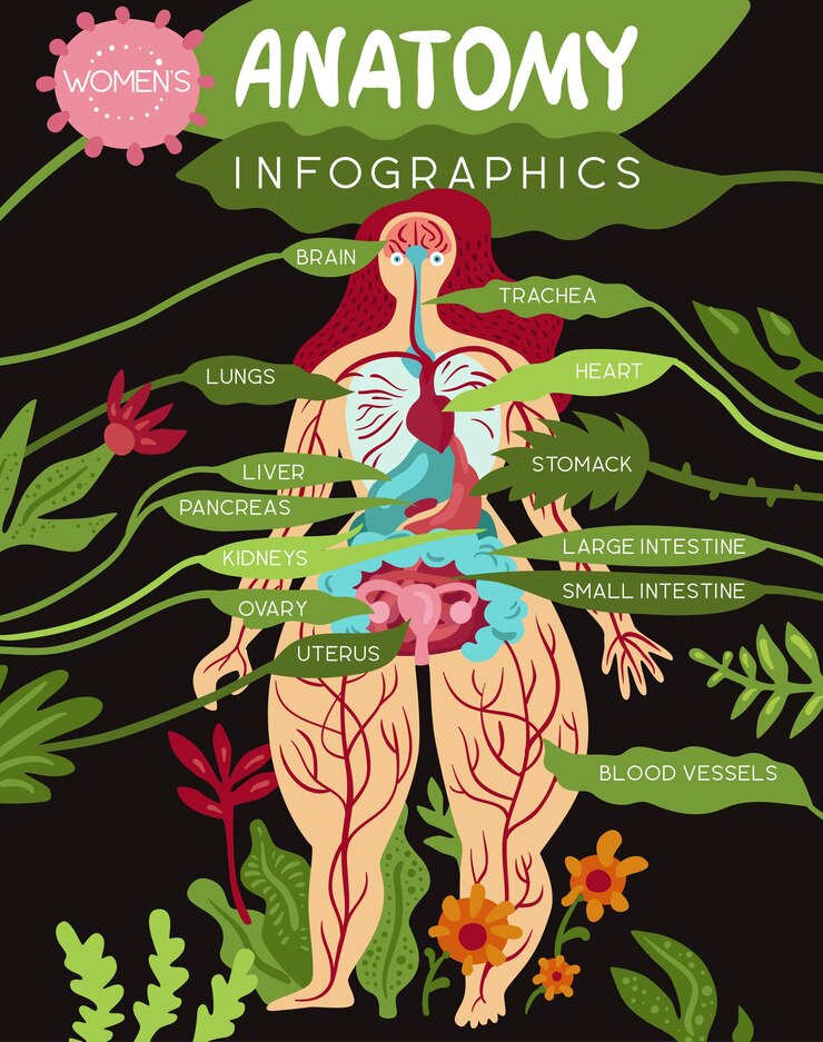 Vector gratuito diseño de infografías médicas de anatomía con órganos de mujeres y sistemas de vitalidad corporal ilustración plana