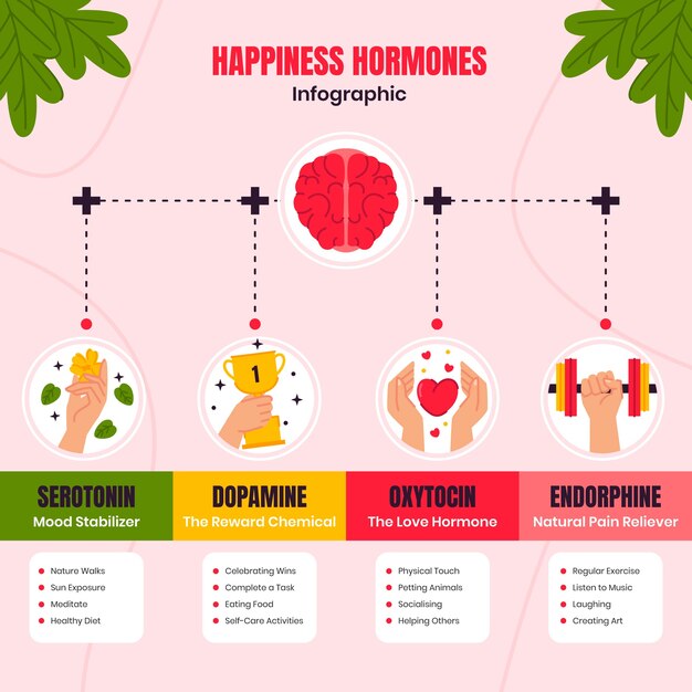 Diseño infográfico de hormonas dibujado a mano