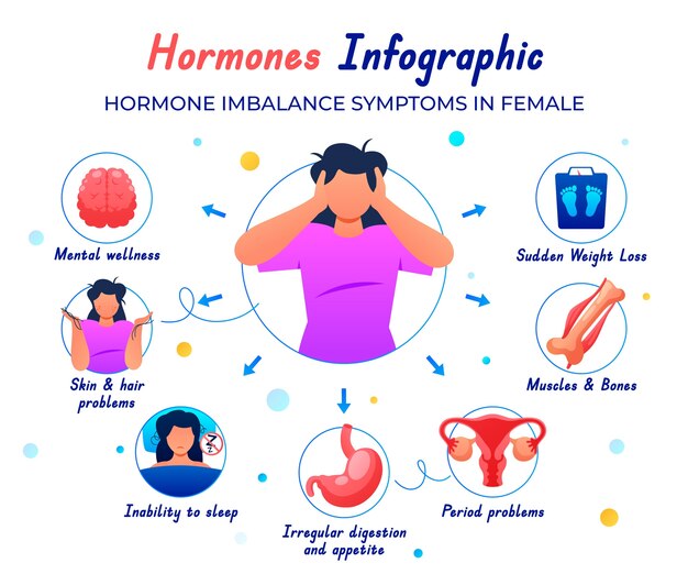 Diseño infográfico de las hormonas gradientes