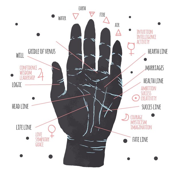 Diseño de información de Palmestry
