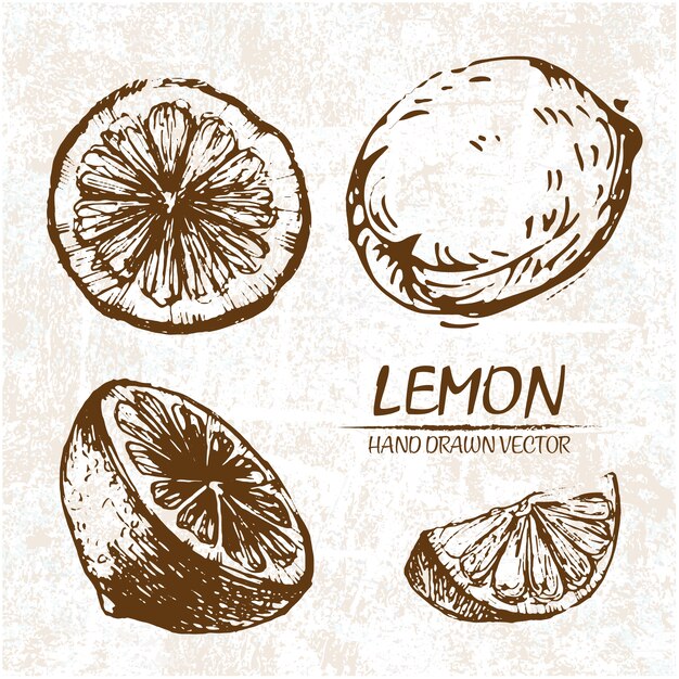 Diseño de limón dibujado a mano