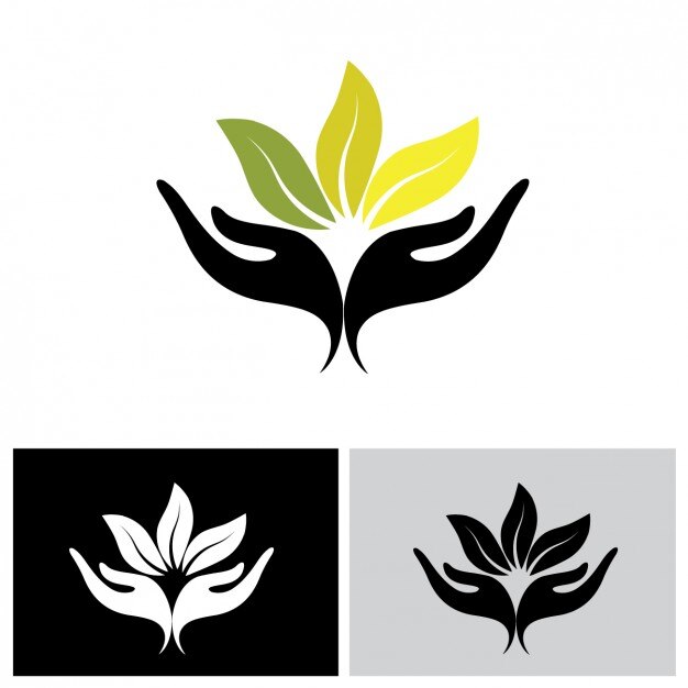 Diseño de logo a color