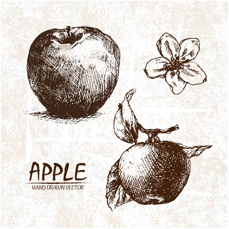 Vector gratuito diseño de manzana dibujada a mano