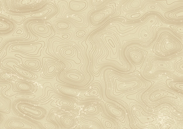 Diseño de mapa topográfico de estilo vintage