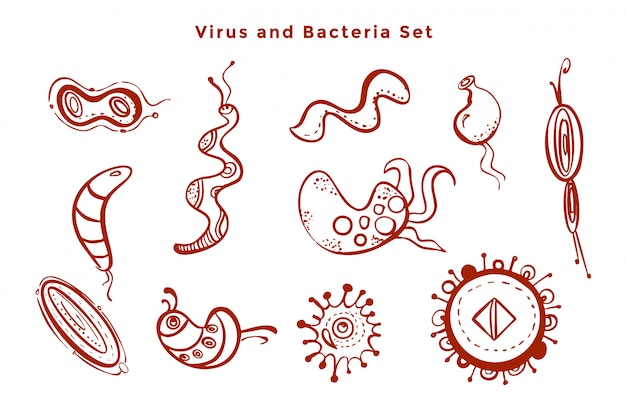 Vector gratuito diseño microscópico de virus y gérmenes bacterianos