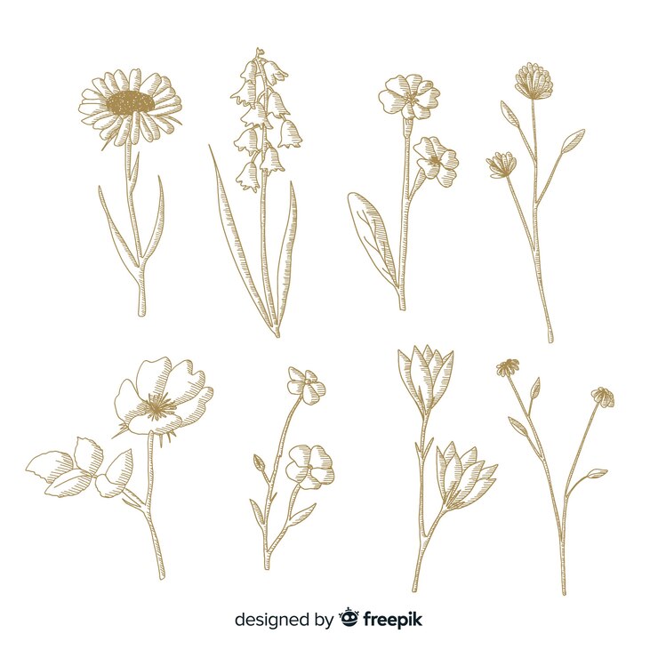 Vector gratuito diseño minimalista para flores botánicas.