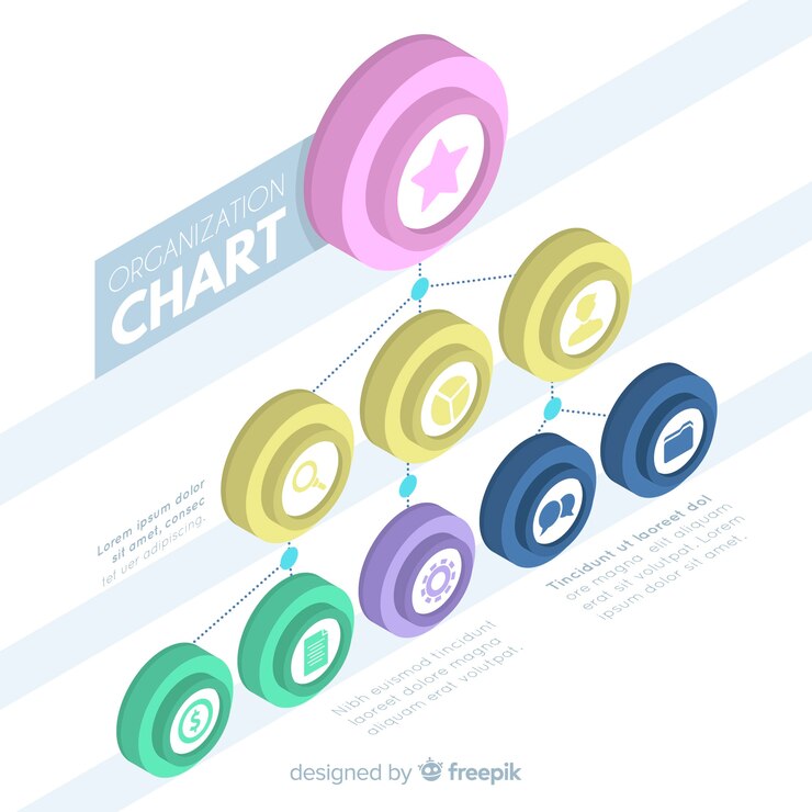 Vector gratuito diseño de organigrama