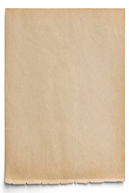 Diseño de papel marrón en blanco