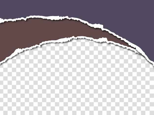 Diseño de papel rasgado colorido sobre fondo moderno transparente