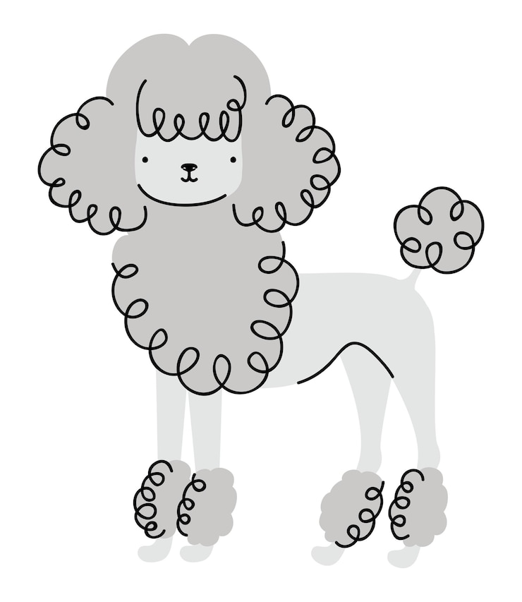 Vector gratuito diseño de perro caniche