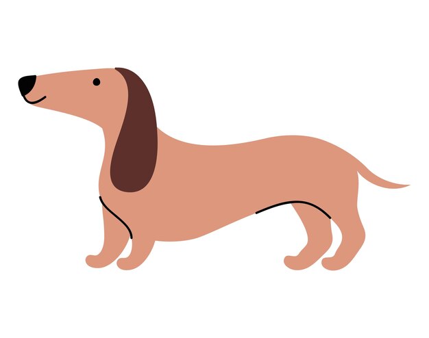Diseño del perro dachshund