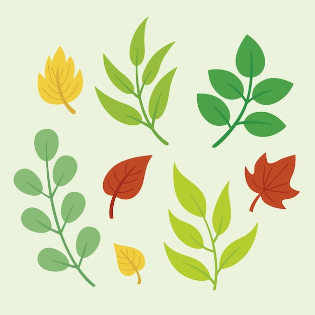 Diseño plano de la colección de diferentes hojas de colores