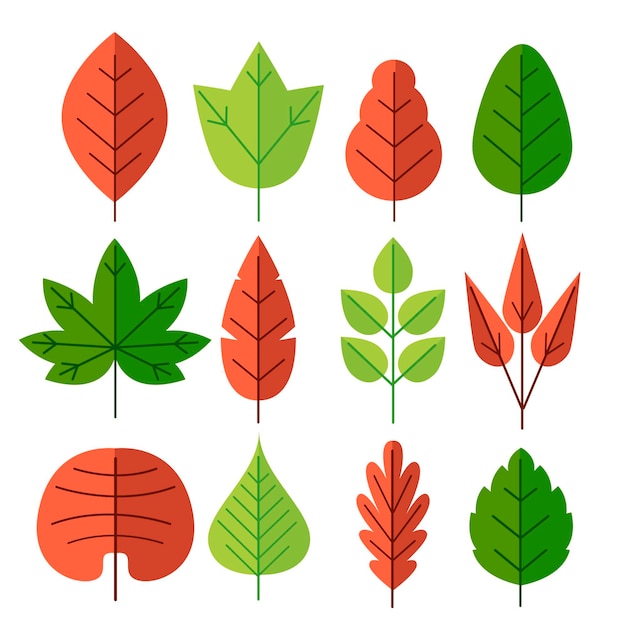 Diseño plano de colección de hojas.