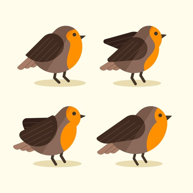 Diseño plano de colección robin.