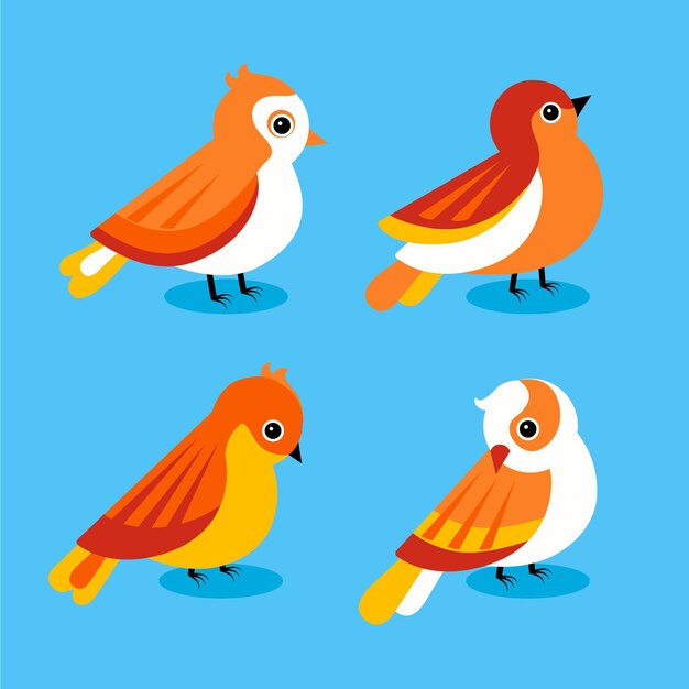 Diseño plano de colección robin.