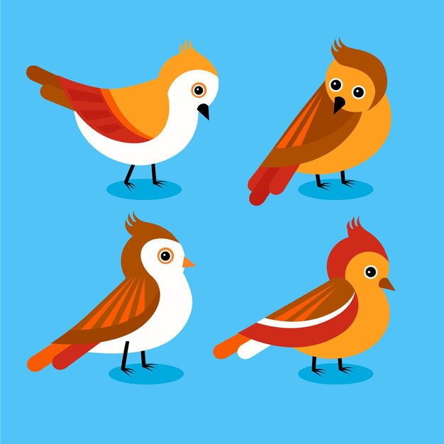 Diseño plano de la colección robin