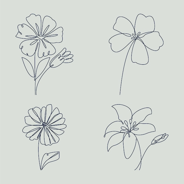 Diseño plano con contornos simples de flores