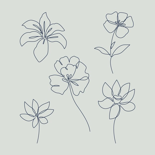 Diseño plano con contornos simples de flores