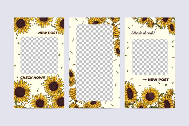 Diseño plano de historias de instagram de girasol