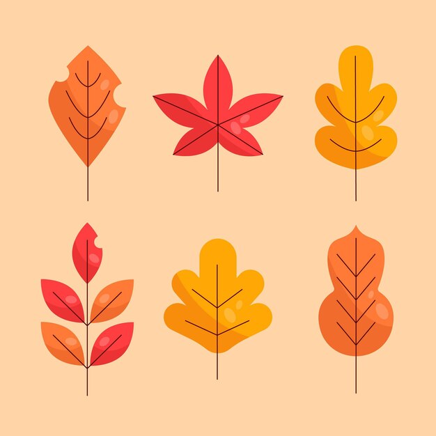 Diseño plano de hojas de colores