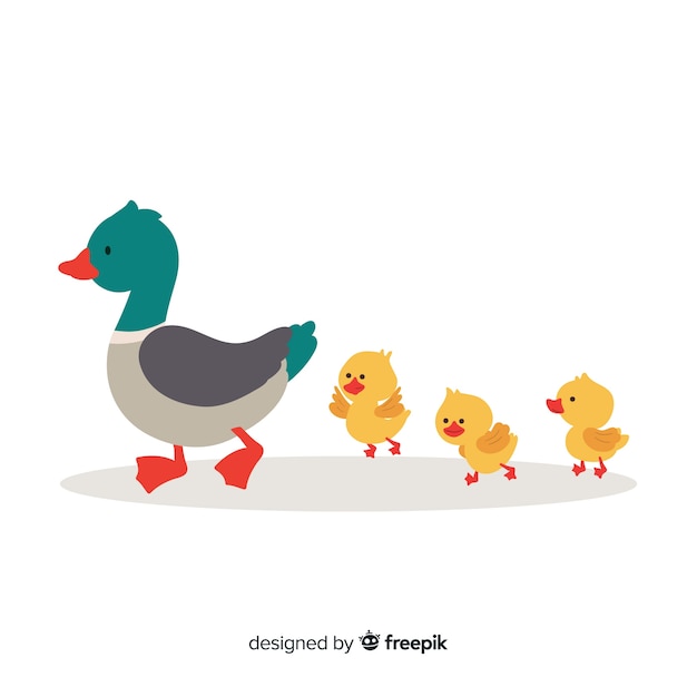 Vector gratuito diseño plano linda madre pato y patitos