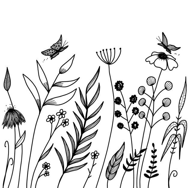 Diseño de plantas dibujadas a mano