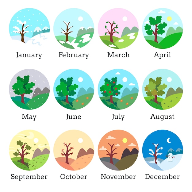 Diseño de plantilla de meses del año.