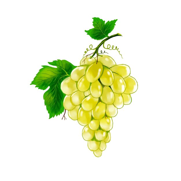 Diseño de racimo de uva elegante abstracto