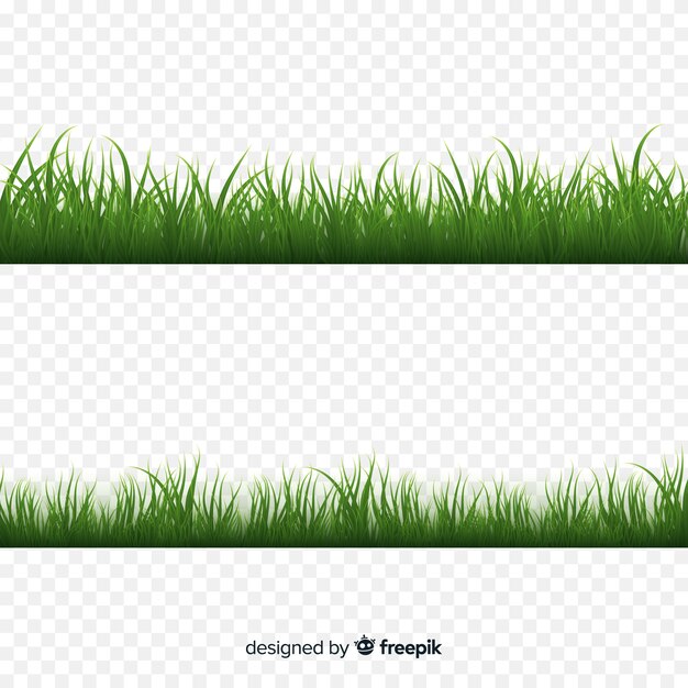 El diseño realista del borde de la hierba verde