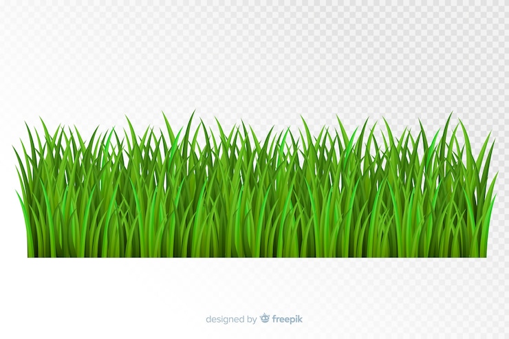 Vector gratuito el diseño realista del borde de la hierba verde