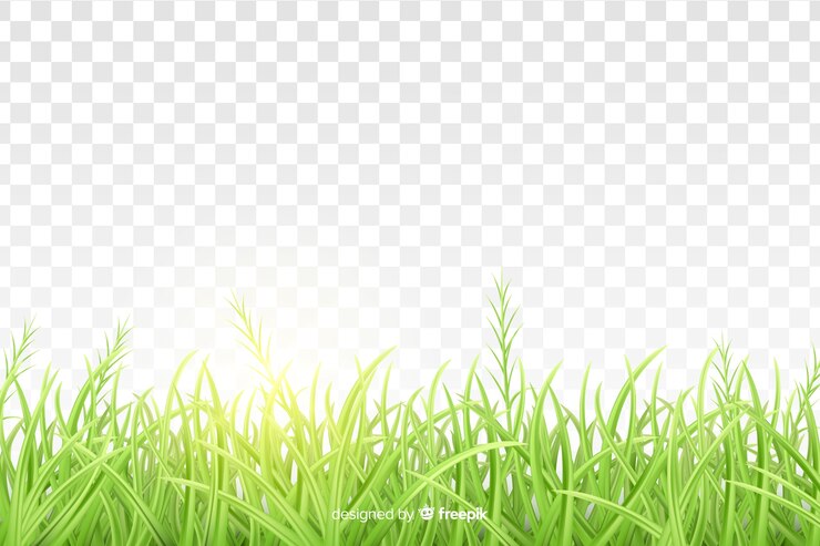 Vector gratuito el diseño realista del borde de la hierba verde