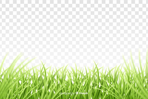 El diseño realista del borde de la hierba verde