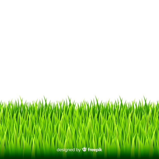 El diseño realista del borde de la hierba verde