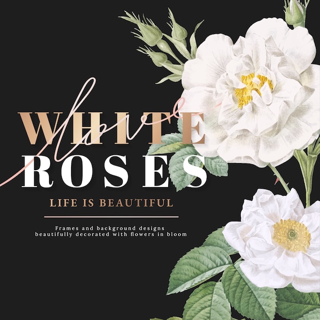 Diseño de tarjeta inspiradora de rosas blancas.