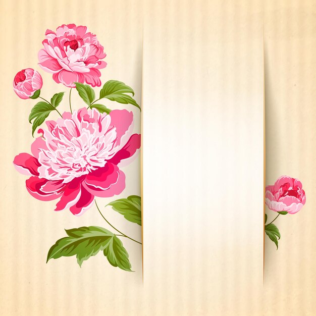 Diseño de tarjeta de plantilla de flor de peonía Ilustración vectorial