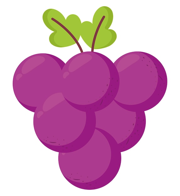 Vector gratuito diseño de uvas púrpuras