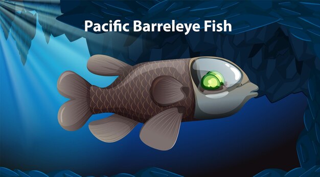 Diseño de vectores de peces de ojo de barril del Pacífico