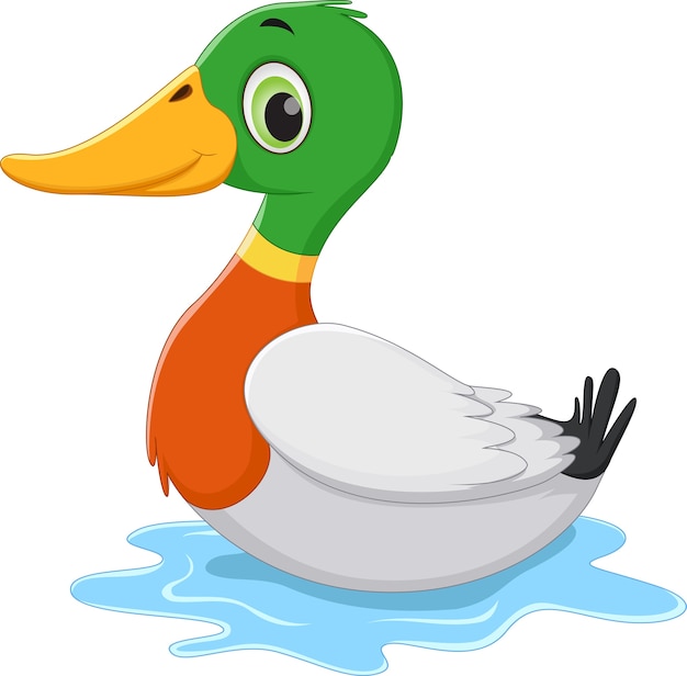 Resultado de imagen para PATO animada png