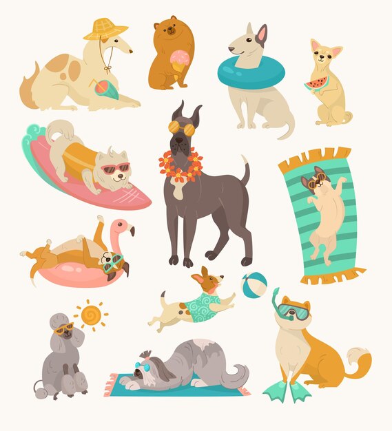 Divertidos perros cómicos con ilustraciones vectoriales de accesorios de playa. Retratos de lindos personajes de dibujos animados de cachorros con accesorios de natación aislados en fondo blanco. Verano, vacaciones, concepto de mascotas.
