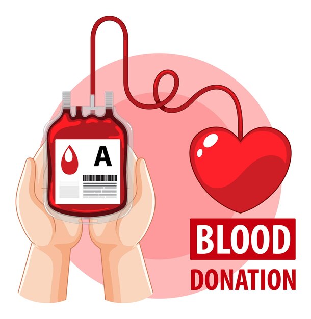 Donar sangre humana sobre fondo blanco.