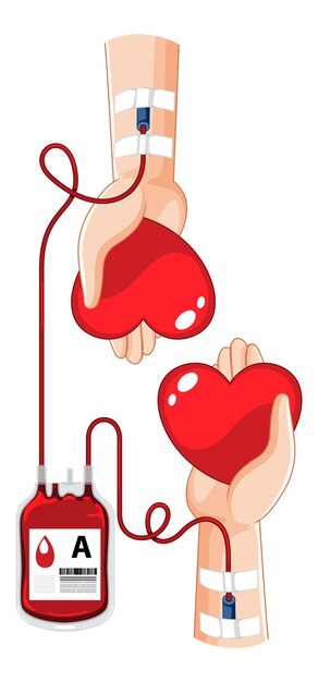 Donar sangre humana sobre fondo blanco.