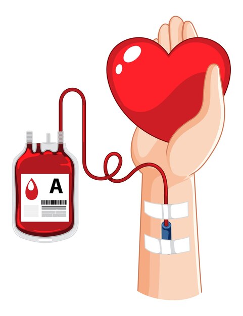Donar sangre humana sobre fondo blanco.