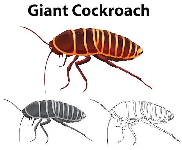 Vector gratuito doodle animal para cucaracha gigante