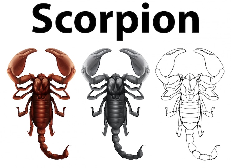 Vector gratuito doodle carácter de escorpión ilustración