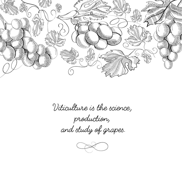 Doodle de tarjeta de diseño decorativo de tipografía con inscripción de que la viticultura es ciencia